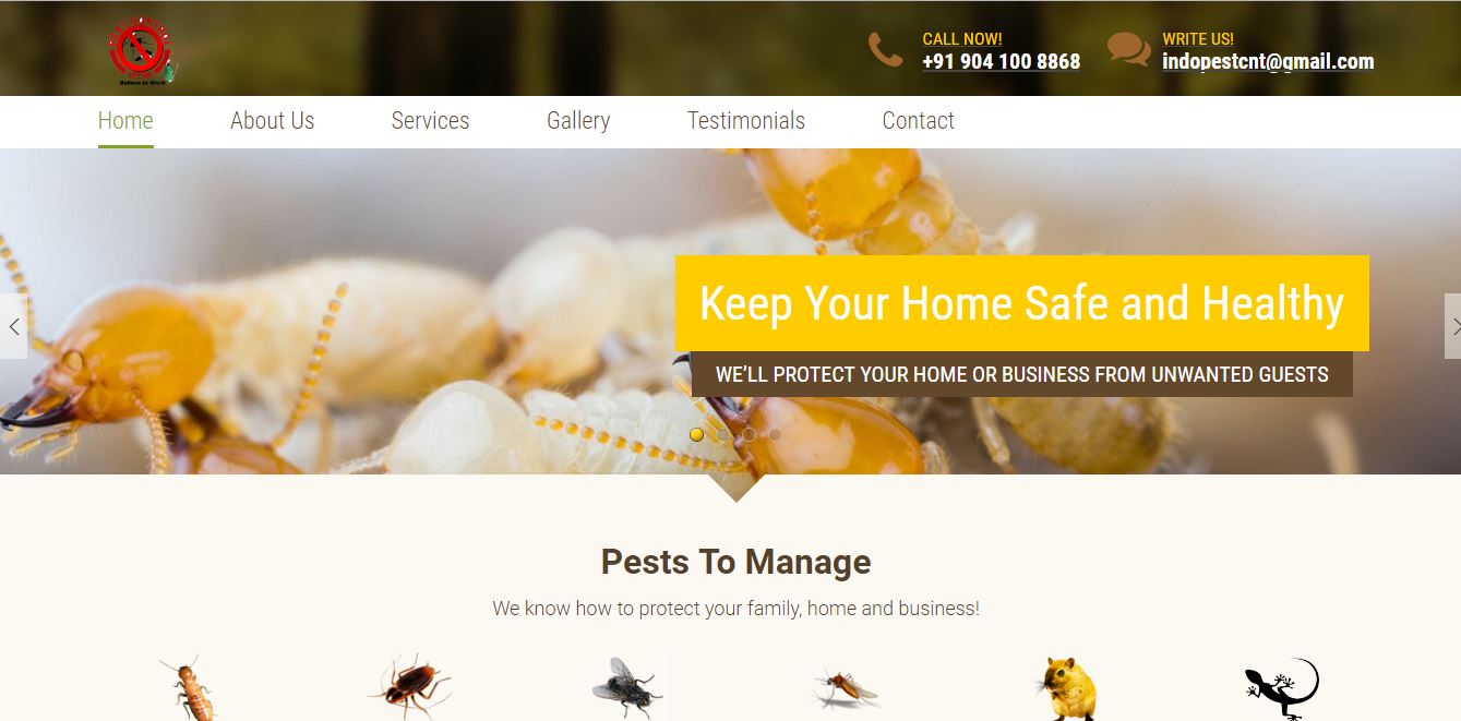 Pest Control Services in Noida